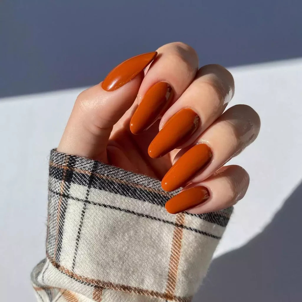 41 Summer to Fall Transition Nail Ideas for 2026 9 Rusty Cinnamon nail design for summer to fall transition 2026