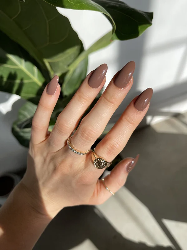 18 Fall Nail Color Ideas for Women Over 50 That Look Absolutely Stunning (2026) 6 fall nail color ideas for women over 50 — chocolate truffle 2026